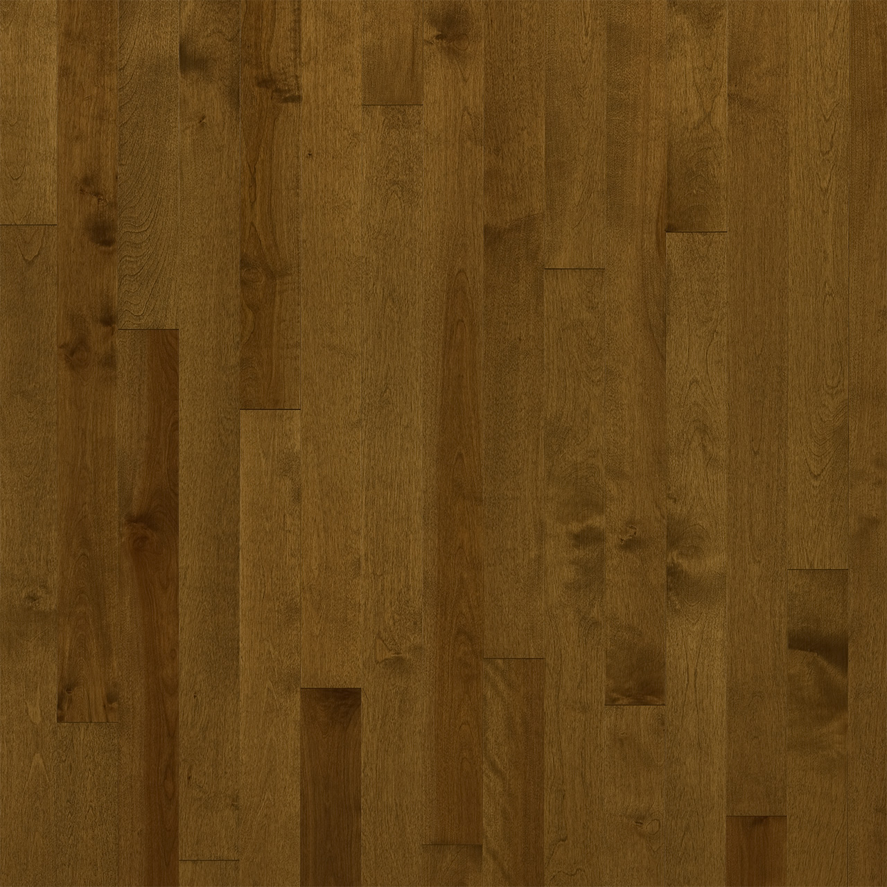 yellow-birch-santa-fe