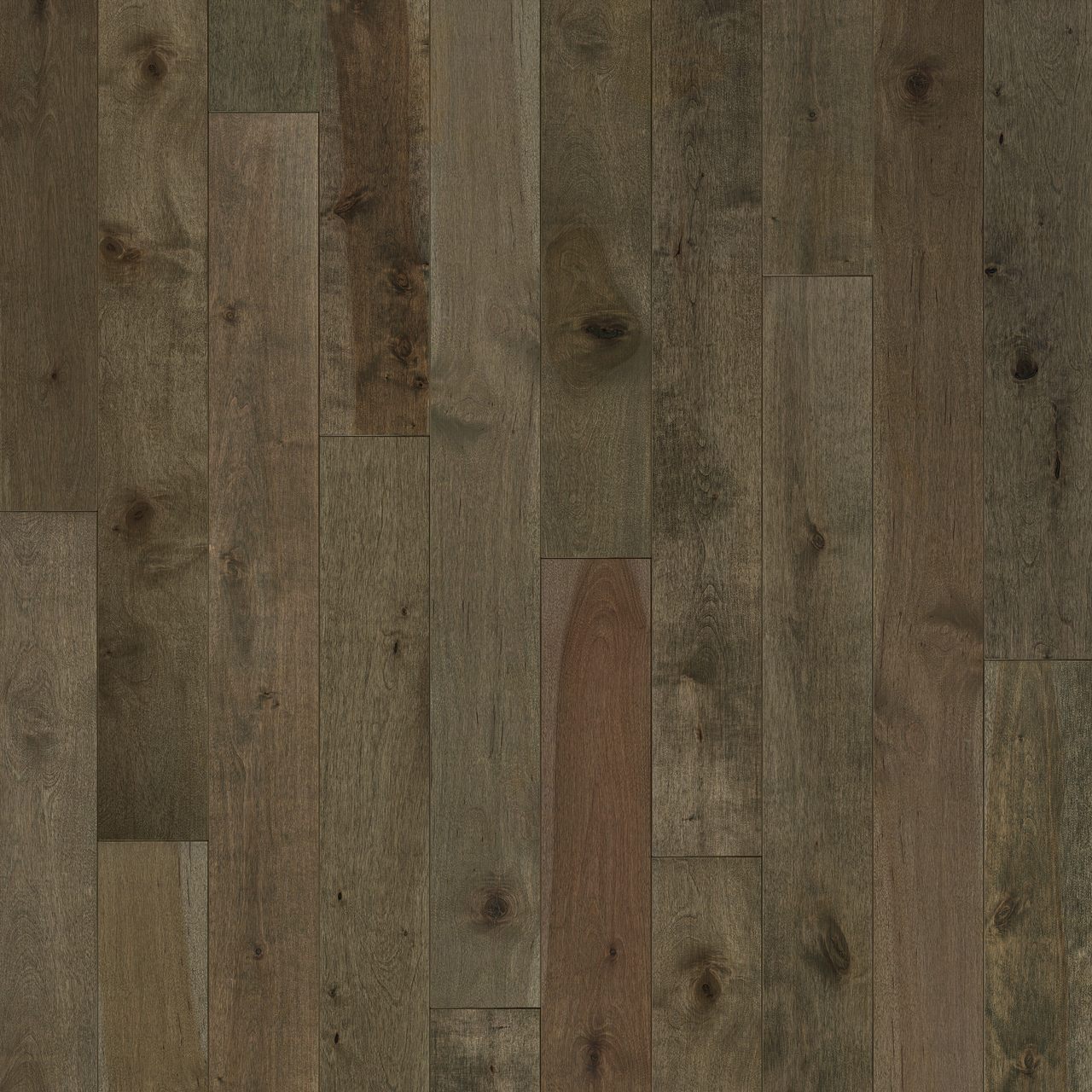 YELLOW BIRCH - COLOR CAPPUCCINO