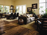 American Black Walnut