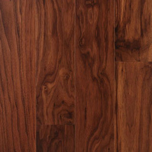 American Walnut