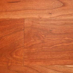 American Cherry